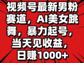 视频号最新男粉赛道，AI美女跳舞，暴力起号，当天见收益，日赚1K-天天学吧