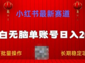 小红书最新赛道，小白无脑单账号日入200，长期稳定项目-天天学吧