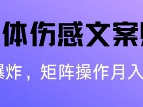 自媒体伤感文案账号，制作简单，流量爆炸账号很容易复制，矩阵月入1W+-天天学吧