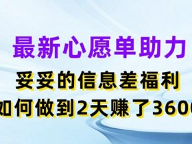 最新心愿单助力，妥妥的信息差福利，两天赚了3.6K【揭秘】-天天学吧