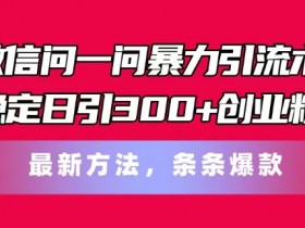 微信问一问暴力引流术，稳定日引300+创业粉，最新方法，条条爆款【揭秘】-天天学吧