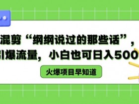 德云混剪“纲纲说过的那些话”，轻松引爆流量，小白也可日入500+【揭秘 】-天天学吧