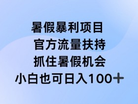 暑假暴利直播项目，官方流量扶持，把握暑假机会【揭秘】-天天学吧