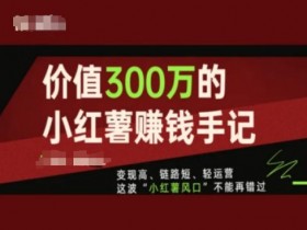 价值300万的小红书赚钱手记，变现高、链路短、轻运营，这波“小红薯风口”不能再错过-天天学吧