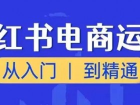 小红书电商运营课，从入门到精通，带你抓住又一个赚钱风口-天天学吧