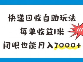 快递回收自助玩法，每单收益1米，闭眼也能月入3000+-天天学吧