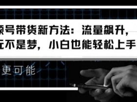 视频号带货新方法：流量飙升，日入千元不是梦，小白也能轻松上手【揭秘】-天天学吧