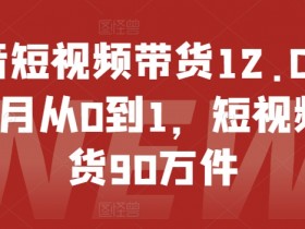 抖音短视频带货12.0，14个月从0到1，短视频带货90万件-天天学吧