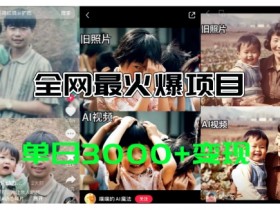 全网爆火的AI让老照片动起来教程，蹭热点日赚3k+，内含免费工具一键可生成【揭秘】-天天学吧