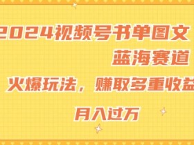 2024视频号书单图文蓝海赛道，火爆玩法，赚取多重收益，小白轻松上手，月入上万【揭秘】-天天学吧