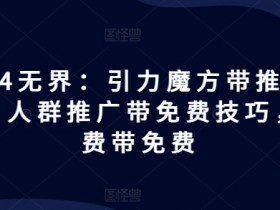 2024无界：引力魔方带推荐玩法，人群推广带免费技巧，付费带免费-天天学吧