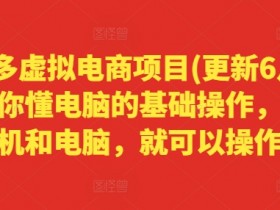 拼多多虚拟电商项目(更新6月)，只要你懂电脑的基础操作，有手机和电脑，就可以操作-天天学吧