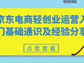 京东电商轻创业运营入门基础通识及经验分享-天天学吧