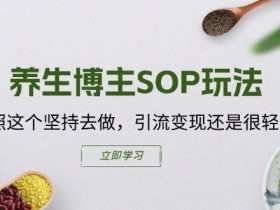 养生博主SOP玩法，按照这个坚持去做，引流变现还是很轻松的-天天学吧