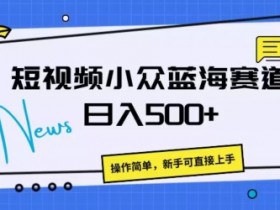 短视频小众蓝海赛道，操作简单，日入几张-天天学吧