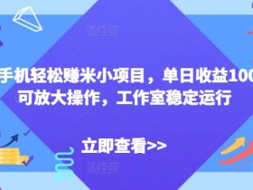 闲置手机轻松赚米小项目，单日收益100+，可放大操作，工作室稳定运行-天天学吧