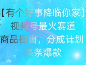 【有个好事降临你家】视频号爆火赛道，商品橱窗，分成计划，条条爆款【揭秘】-天天学吧