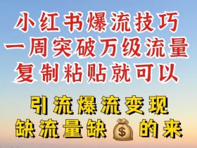 小红书爆流技巧，一周突破万级流量，复制粘贴就可以，引流爆流变现【揭秘】-天天学吧