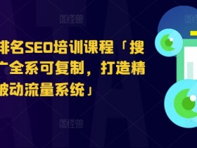 搜索引擎排名SEO培训课程「搜索引擎推广全系可复制，打造精准被动流量系统」-天天学吧