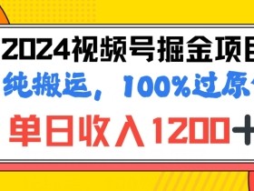 2024暑假视频号掘金赛道，100%过原创玩法，1分钟一个视频，专为小白打造-天天学吧