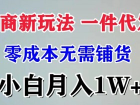 电商新玩法 一件代发,零成本无需铺货，小白月入1W+-天天学吧