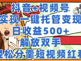 抖音+视频号托管变现，实现一键托管，日收益500+，解放双手，轻松分羹短视频红利-天天学吧