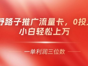 野路子推广流量卡，一单利润上百，0投入，小白轻松上万-天天学吧