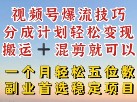 视频号爆流技巧，分成计划轻松变现，搬运 +混剪就可以，一个月轻松五位数稳定项目【揭秘】-天天学吧