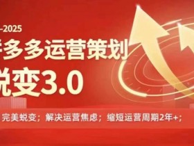 2024-2025拼多多运营策略蜕变3.0，0~1完美蜕变，解决信息焦虑-天天学吧