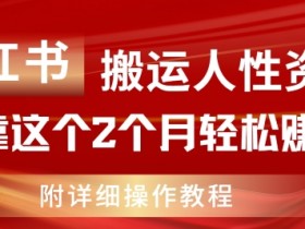 小红书搬运人性资料，有人靠这个2个月轻松赚11w，附教程【揭秘】-天天学吧