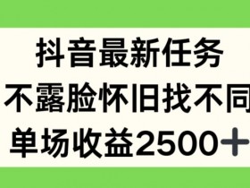 抖音最新任务，不露脸怀旧找不同，单场收益2.5k【揭秘】-天天学吧