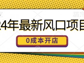 24年最新风口项目，0成本就可以开一家自己的线上商城-天天学吧