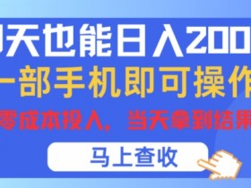 聊天也能日入200+，一部手机即可轻松操作，零成本投入，当天就能拿到结果-天天学吧