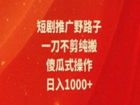 暑假风口项目，短剧推广全新玩法，一刀不剪纯搬运，轻松日入1000+-天天学吧