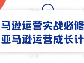 亚马逊运营实战必修课，亚马逊运营成长计划-天天学吧