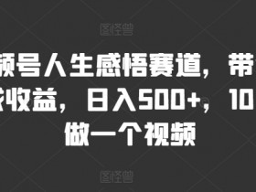 视频号人生感悟赛道，带货+分成收益，日入500+，10分钟做一个视频-天天学吧