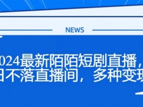 2024最新陌陌短剧直播，日不落直播间，多种变现-天天学吧