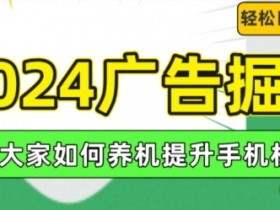 2024广告掘金，教大家如何养机提升手机权重，轻松日入100+【揭秘】-天天学吧