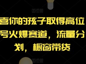 【恭喜你的孩子取得高位】AI视频号火爆赛道，流量分成计划，橱窗带货【揭秘】-天天学吧