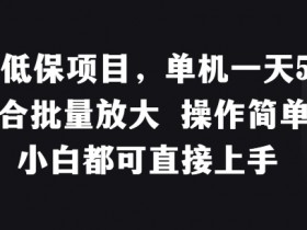 稳定低保项目，单机一天50+适合批量放大 操作简单 小白都可直接上手【揭秘】-天天学吧