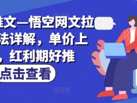 小说推文—悟空网文拉新玩法详解，单价上涨，红利期好推-天天学吧