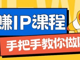 ip合伙人打造1.0，从0到1教你做网创，实现月入过万【揭秘】-天天学吧