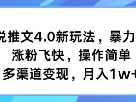 小说推文4.0新玩法，暴力起号，涨粉飞快，操作简单，多渠道变现，月入1w+-天天学吧