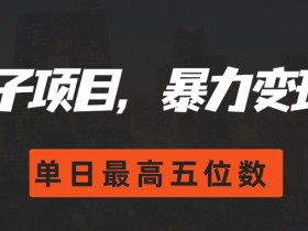 搭子项目，暴力变现，单日最高破五位数-天天学吧