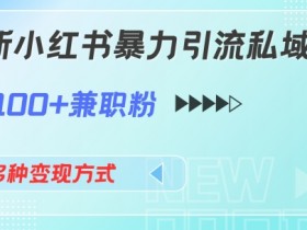 最新小红书暴力引流私域玩法，日引100+兼职粉，多种变现方式-天天学吧