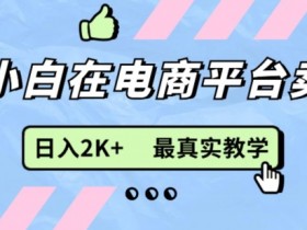 最新无货源0成本电商，新手小白可做，后端扶持拉满，细致教学-天天学吧