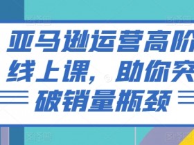 亚马逊运营高阶线上课，助你突破销量瓶颈-天天学吧