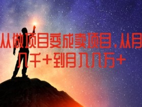 如何从做项目变成卖项目，从月收入几千到月入几万【揭秘】-天天学吧