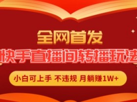 全网首发，快手直播间转播玩法简单躺赚，真正的全无人直播，小白轻松上手月入1W+【揭秘】-天天学吧