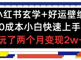 小红书玄学+好运壁纸玩法，0成本小白快速上手，玩了两个月变现2w+ 【揭秘】-天天学吧